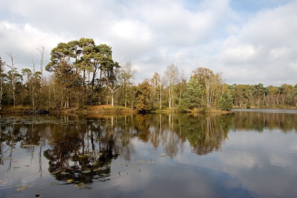 Oisterwijkse Bossen en Vennen Kampina natuurgebied natuur hdr oisterwijk Nationaal park Landschap Het Groene Woud hei heide bossen natuurmonumenten brabant